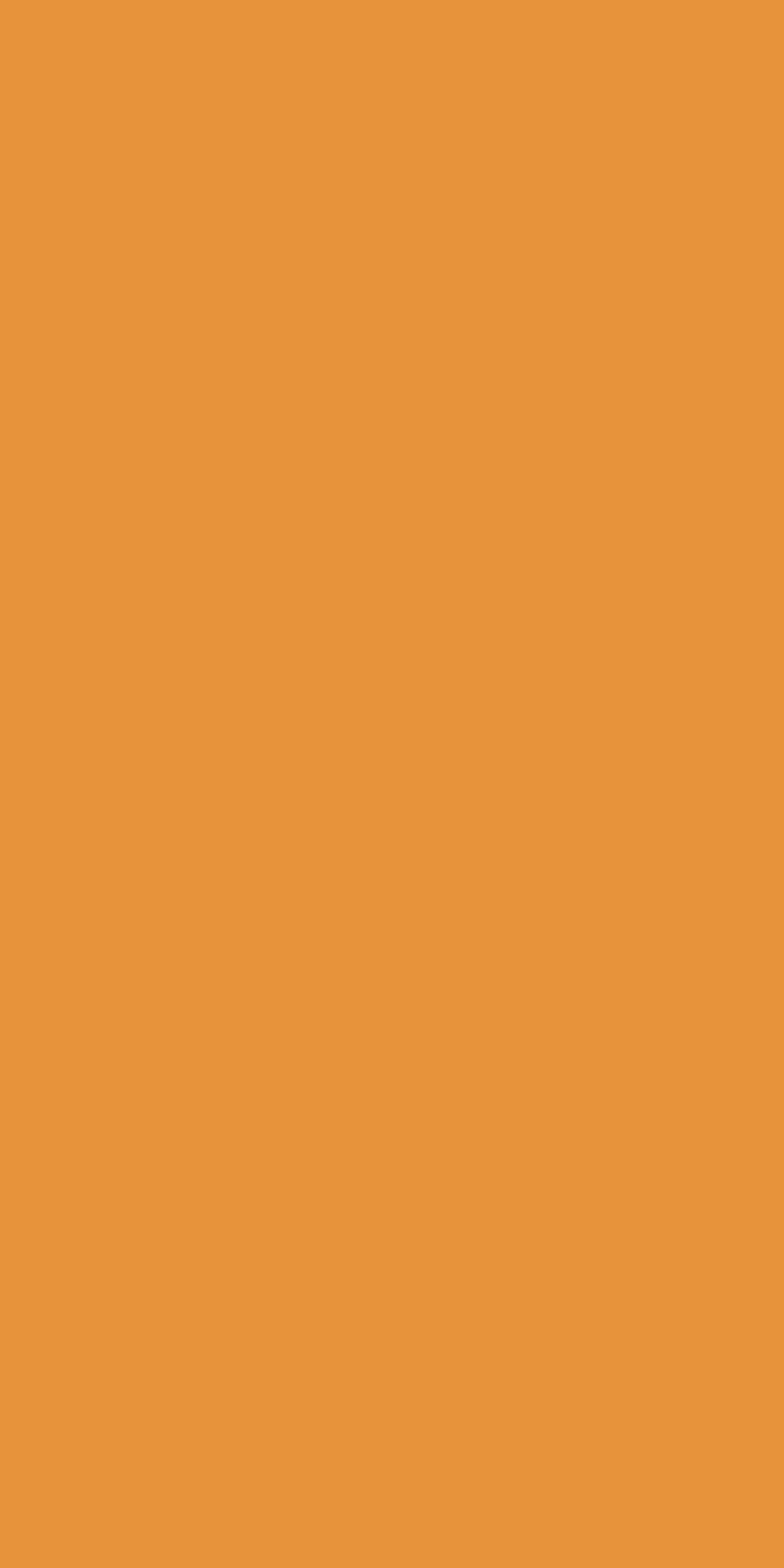 547 � ORANGE